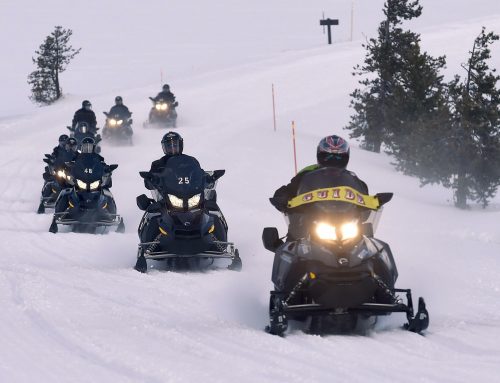 Yellowstone National Park in Winter Almost Unrecognizable