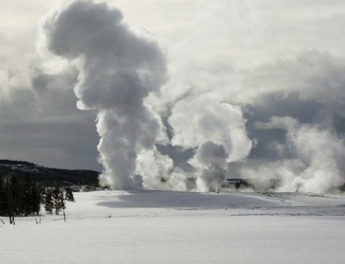 Winter Photography Opportunities in West Yellowstone, Montana