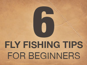 6 Tips Fly Fishing