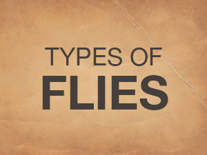 Types Of Flies Button