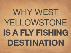 fly fishing destination