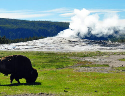 Yellowstone National Park