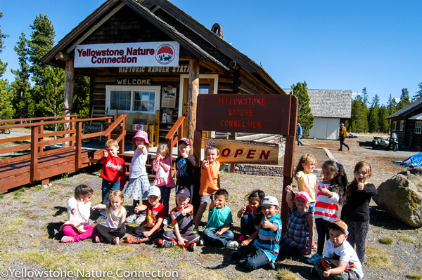 Yellowstone Nature Connection