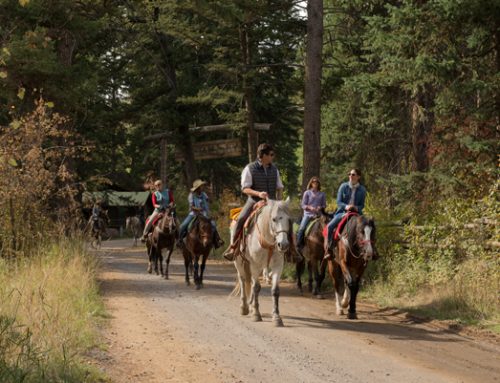 5 Reasons to Gather in West Yellowstone