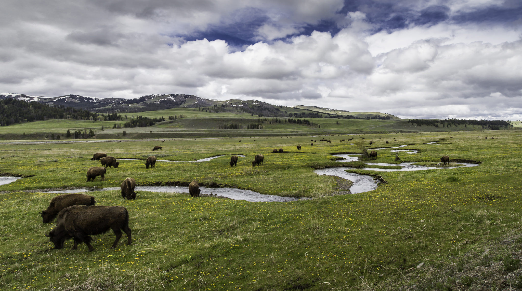 west yellowstone tourism