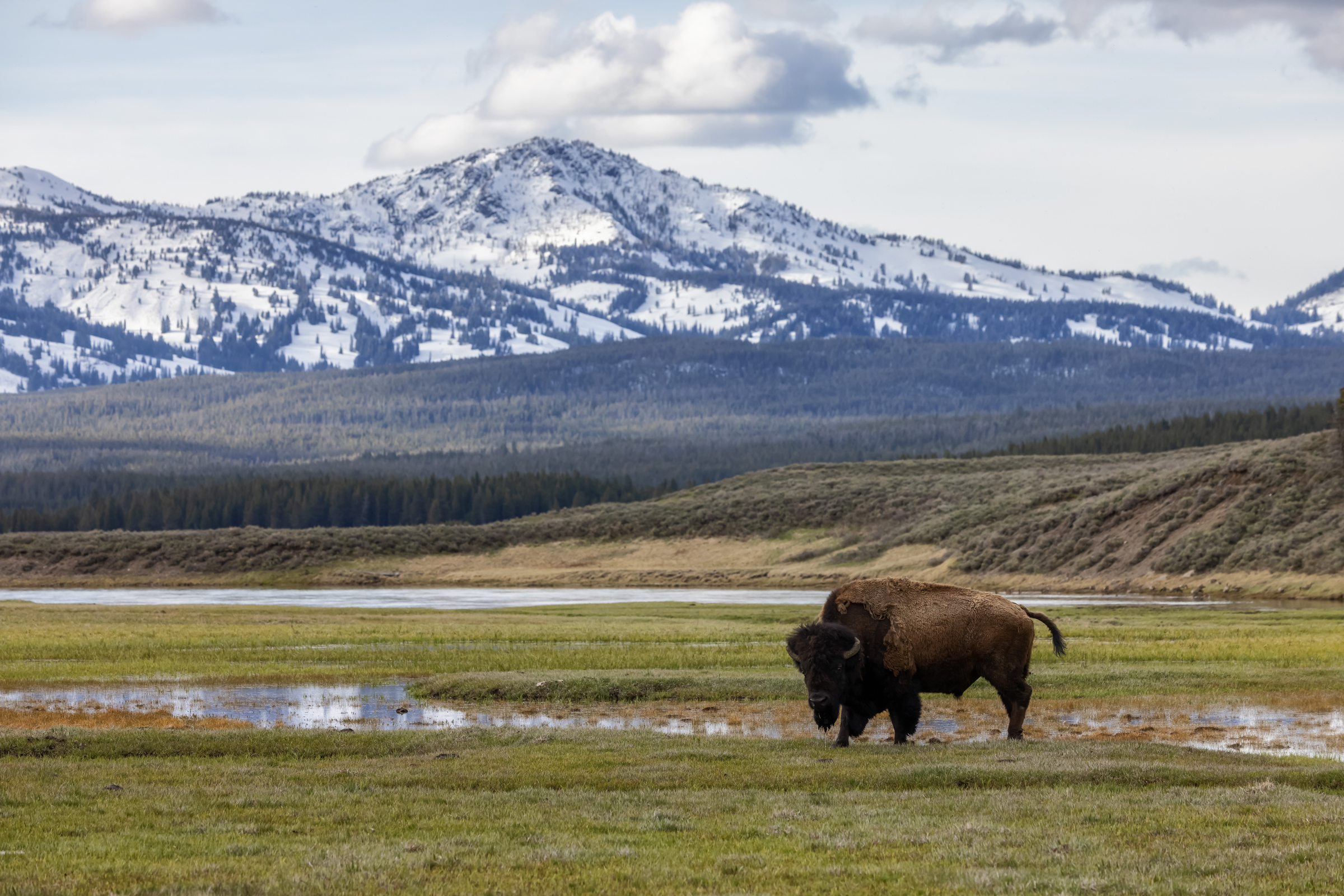 west yellowstone tourism